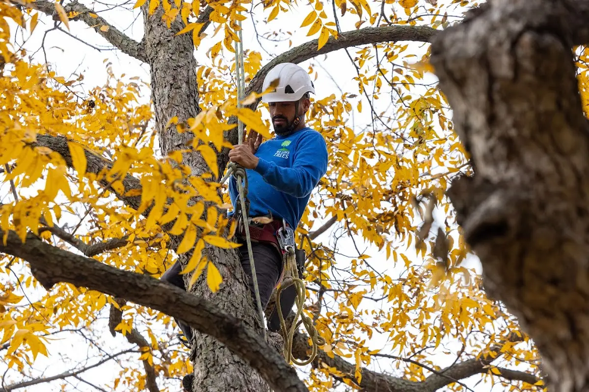 Skilled Storm Damage Cleanup crew working in Portsmouth
