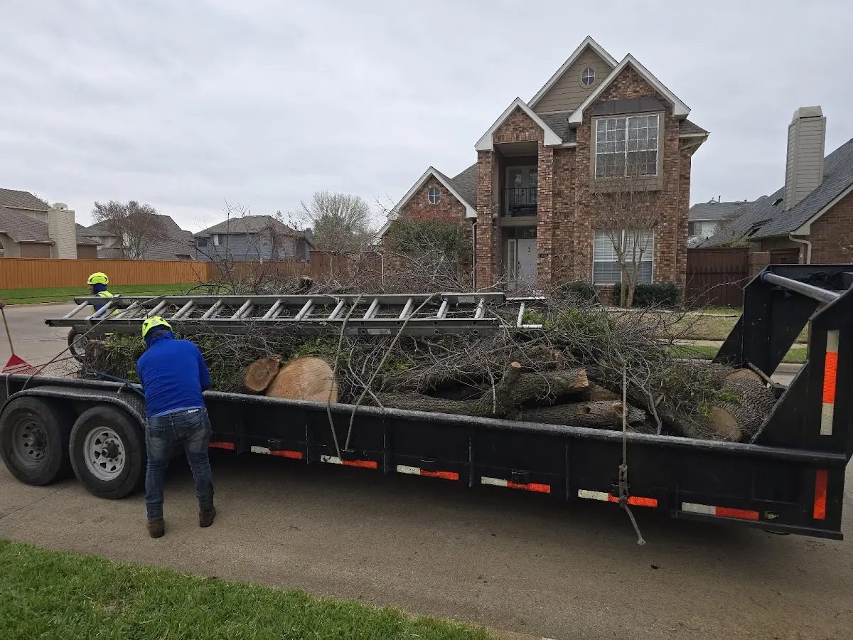 Expert Tree Pest Control with proper safety equipment in Portsmouth